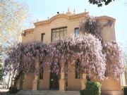 Camps Elissis Lleida